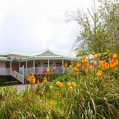 Matakohe House Bed & Breakfast Екстериор снимка